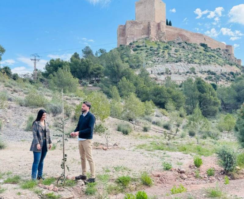 Thousands of shrubs and bushes planted at Lorca Castle