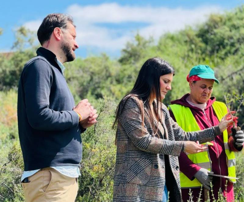 Thousands of shrubs and bushes planted at Lorca Castle