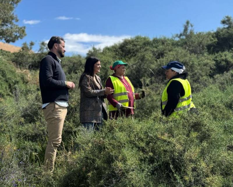 Thousands of shrubs and bushes planted at Lorca Castle