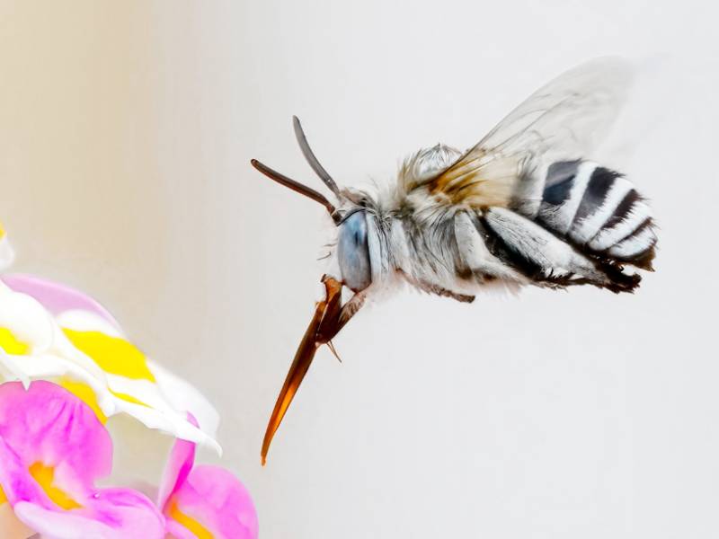 Murcia photo of the month October 2025