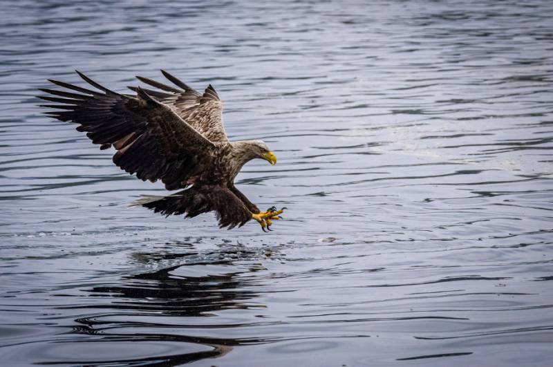 Murcia photo of the month October 2025