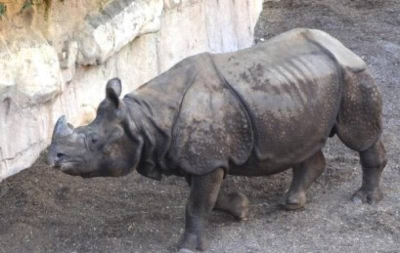 Celebrating 20 years of nature, fun, and learning at Terra Natura Benidorm