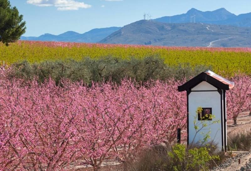 Discover Murcia's greenways: cycle and hike from coast to mountains