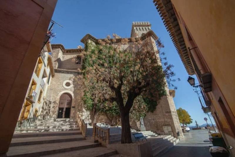 A selection of ideas for a great day out in Moratalla!
