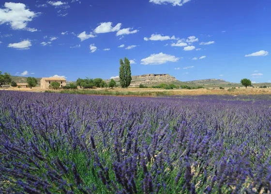 A selection of ideas for a great day out in Moratalla!