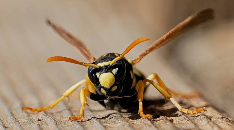 Murcia Photo of the Year 2025: Vote for your favourite!