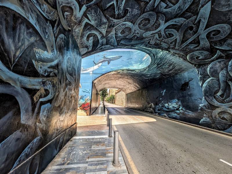 Murcia Photo of the Year 2025: Vote for your favourite!