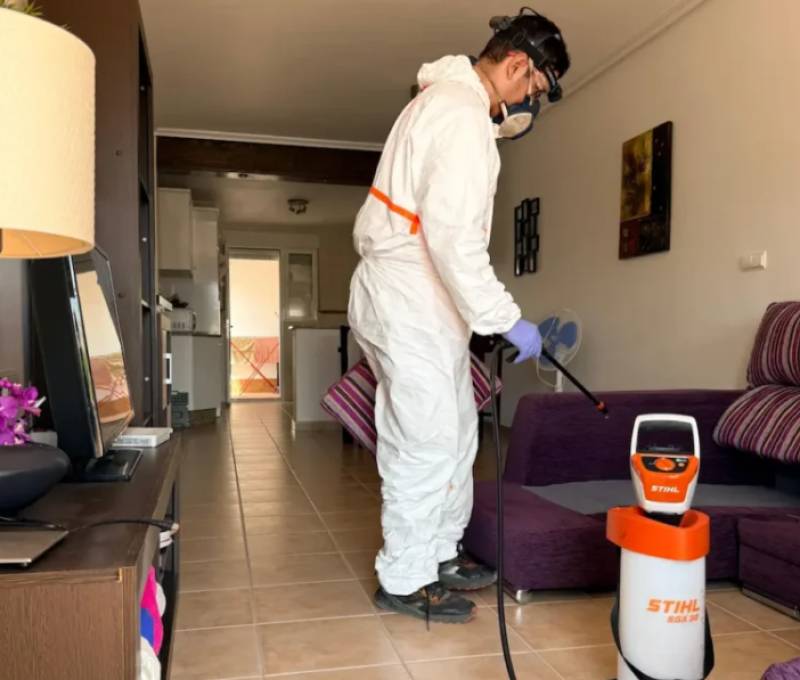 Spring has arrived in the Region of Murcia… along with the pests